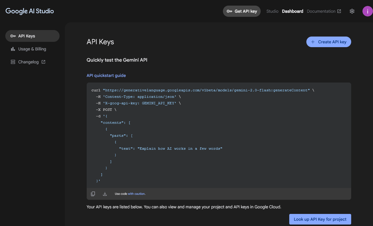 صفحه ورود به Google AI Studio